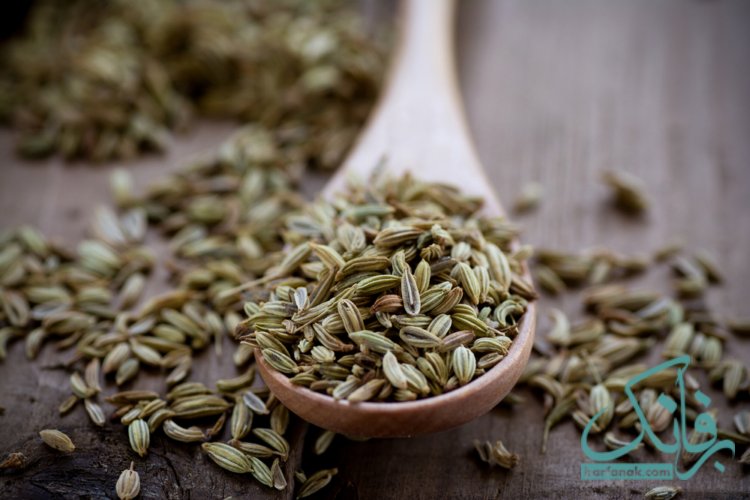 خواص رازیانه برای تخمدان و پریود
