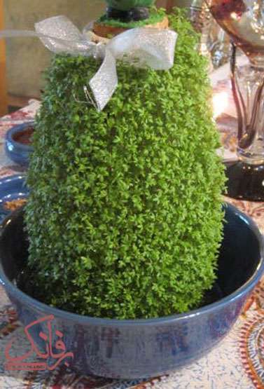 طرز کاشت سبزه کوزه